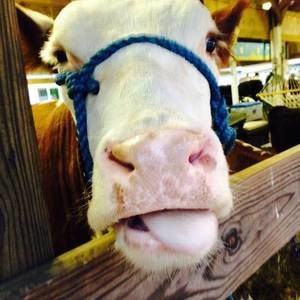 Meet your Posher, Marci